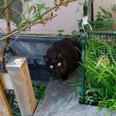 Un Insospettabile Angolo Verde In Citta Lejlighed Milano Eksteriør billede